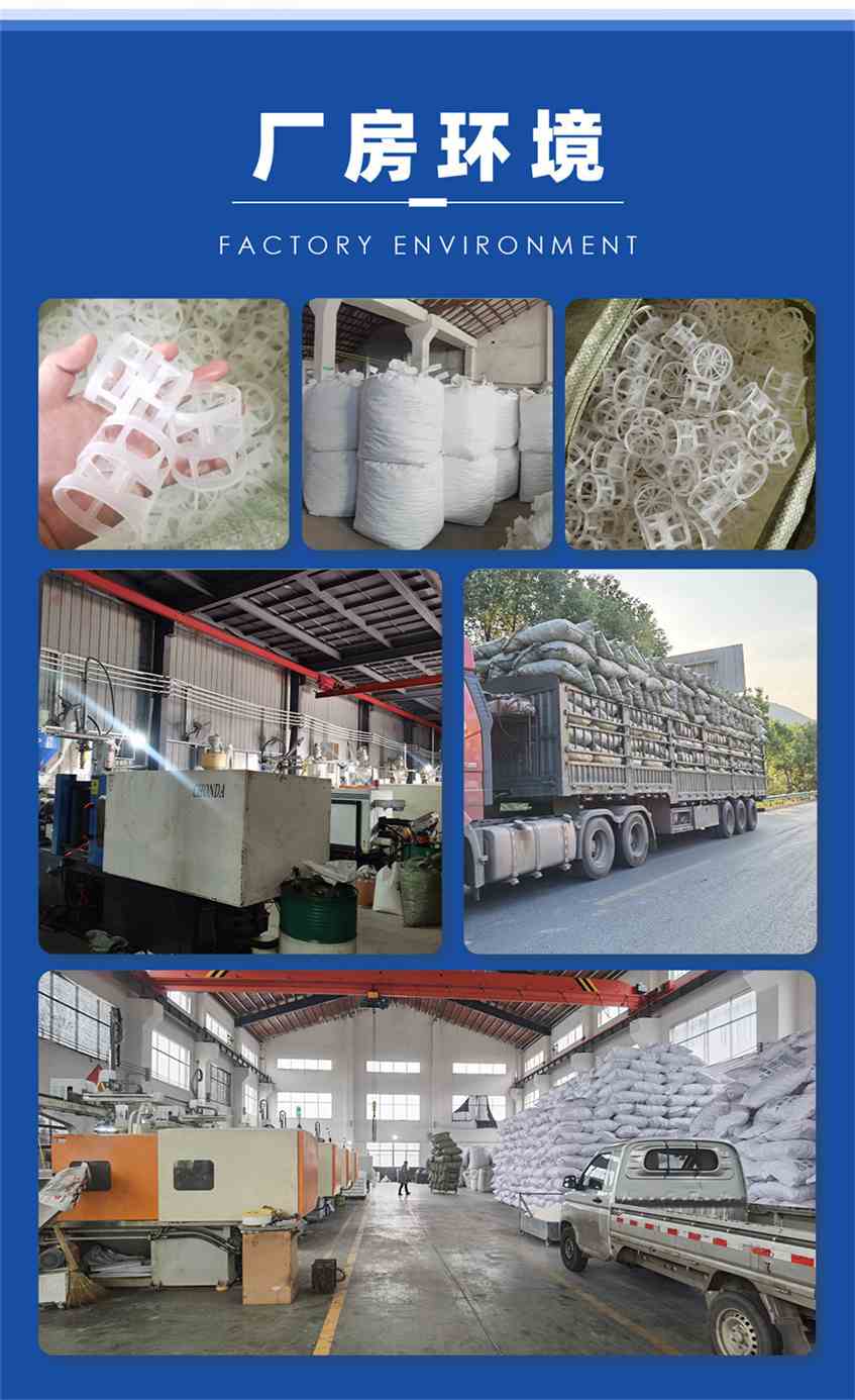 PPH鲍尔环_04 (3).jpg